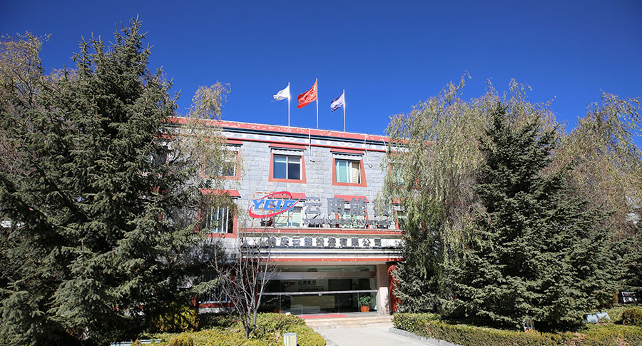 黨建融入經(jīng)營,提高工作效能-云南能投居正產(chǎn)業(yè)投資有限公司