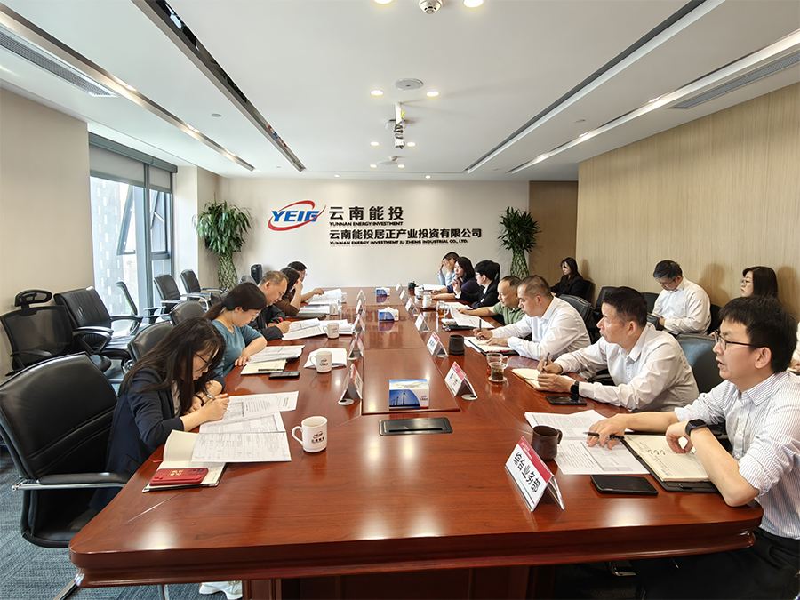 黃寧一行到居正公司開展瘦身健體專項工作調(diào)研-云南能投居正產(chǎn)業(yè)投資有限公司